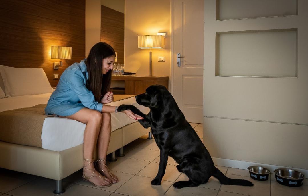 hotelsanmarcocattolica it pet-friendly 015